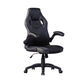 Gaming Chair Racing Office Chair Recliner Swivel Seat Height and Armrest Adjustable Little