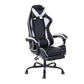Gaming Chair Racing Office Chair Recliner Swivel Rocker with Headrest and Lumbar Pillow Todd