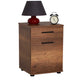 Newline Nightstand W/ One Drawer & One Section Oslo Walnut KMD