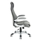 Gaming Chair Racing Office Chair Recliner Swivel Seat Height and Armrest Adjustable Anniston