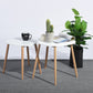 Set of 2 Coffee Table End Table Bulls