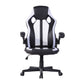 Gaming Chair Racing Office Chair Seat Height Adjustment Jaxson