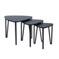 Set of 3 Nesting Coffee Table End Table Industrial Kauwhata