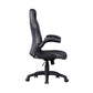 Gaming Chair Racing Office Chair Recliner Swivel Seat Height and Armrest Adjustable Little