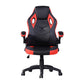 Gaming Chair Racing Office Chair Recliner Swivel Seat Height and Armrest Adjustable Little