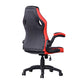 Gaming Chair Racing Office Chair Recliner Swivel Seat Height and Armrest Adjustable Little