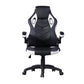 Gaming Chair Racing Office Chair Recliner Swivel Seat Height and Armrest Adjustable Little