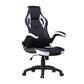 Gaming Chair Racing Office Chair Recliner Swivel Seat Height and Armrest Adjustable Little