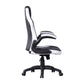 Gaming Chair Racing Office Chair Recliner Swivel Seat Height and Armrest Adjustable Little