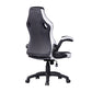 Gaming Chair Racing Office Chair Recliner Swivel Seat Height and Armrest Adjustable Little
