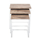 Set of 3 Nesting End Coffee Table Maximo