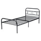 Single Bed Metal Bed Frame Milo