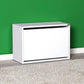 Shoe Cabinet W/ Shoe Storage White SHC