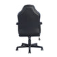 Gaming Chair Racing Office Chair Seat Height Adjustment Terrell