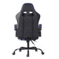 Gaming Chair Racing Office Chair Recliner Swivel Rocker with Headrest and Lumbar Pillow Todd