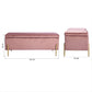 Storage Ottoman Bench Velvet Upholstered Footrest Stool Tudor