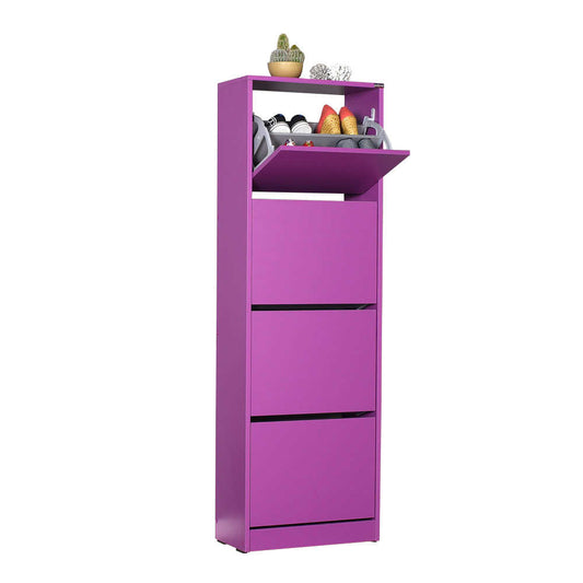 Shoe Cabinet